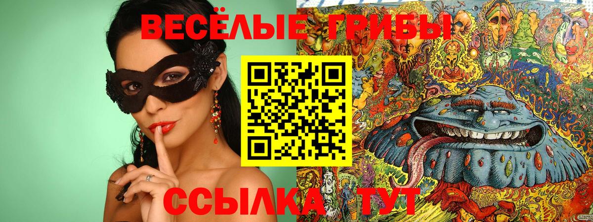 Галлюциногенные грибы прущие грибы Белогорск